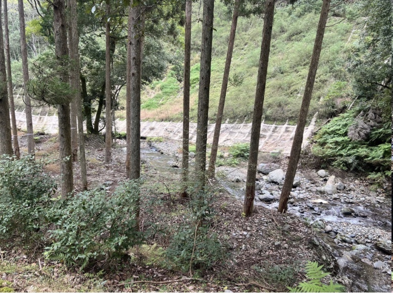 大平渓谷キャンプ場