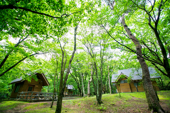 榛名湖オートキャンプ場