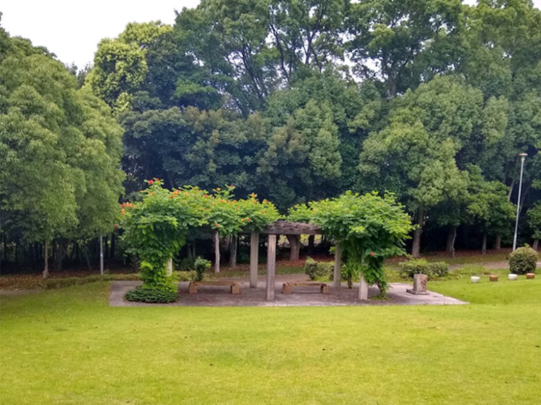 大窪公園キャンプ場