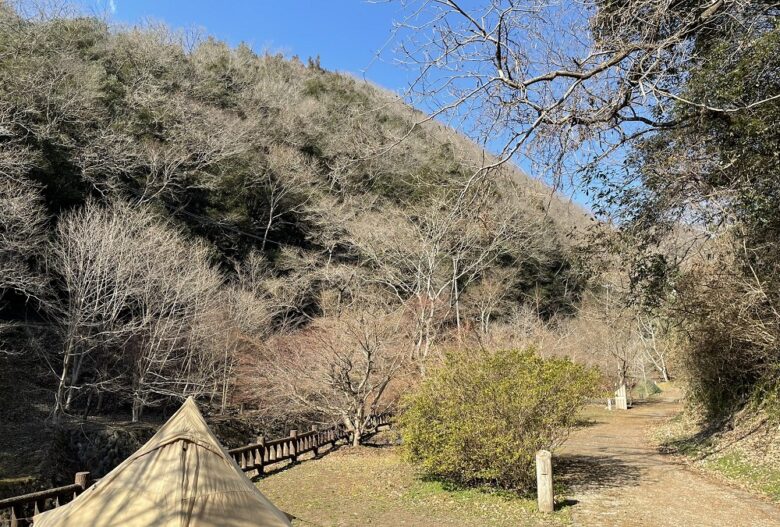 中村川砂防公園 天神峡キャンプ場