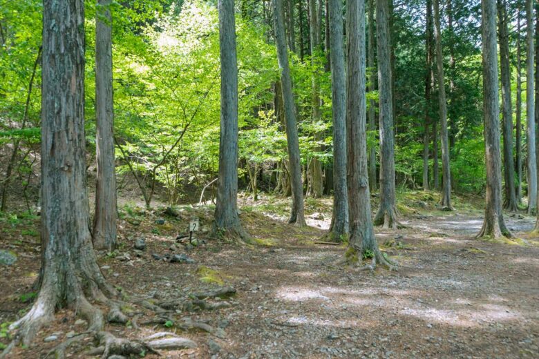 奥秋キャンプ場