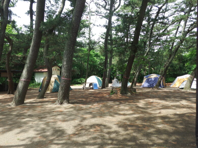 富津公園キャンプ場