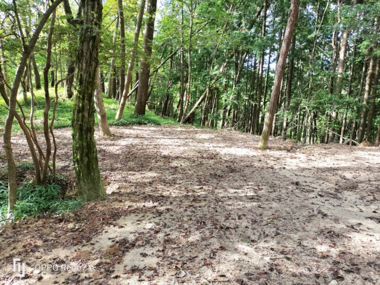 愛知の薪屋キャンプ場