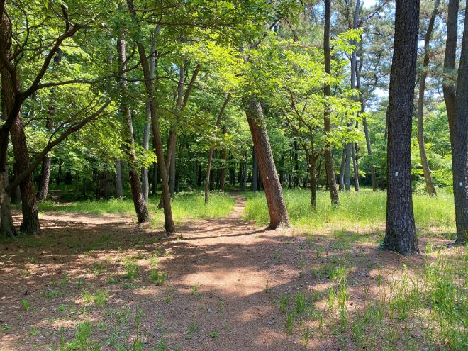 角渕キャンプ場