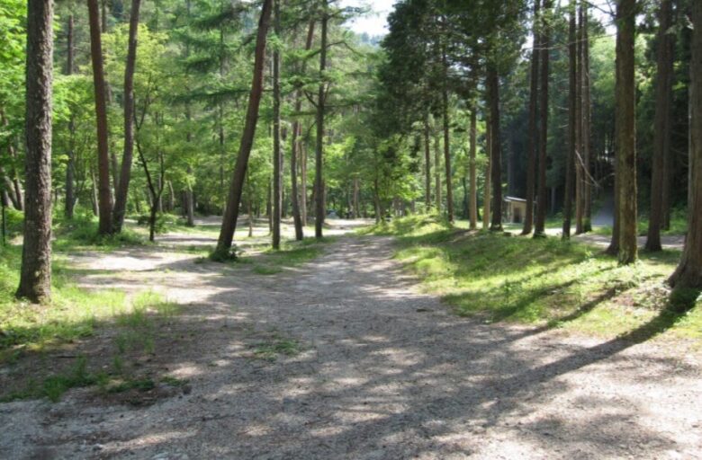 野池親水公園キャンプ場